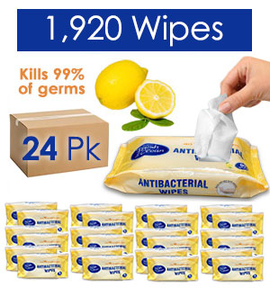 CASE of Fresh N Clean Antibacterial Wipes